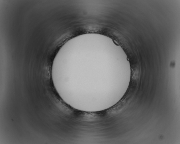 X0000101990666200808081637