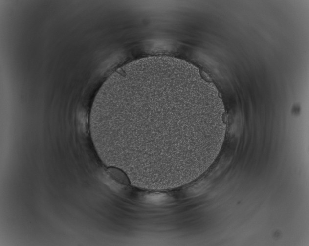 X0000101990669200808081637