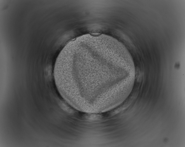 X0000101990670200808081637