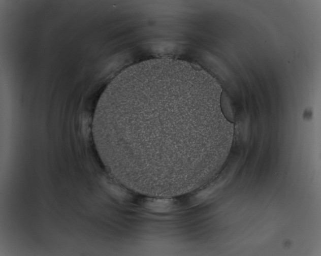 X0000101990671200808081637