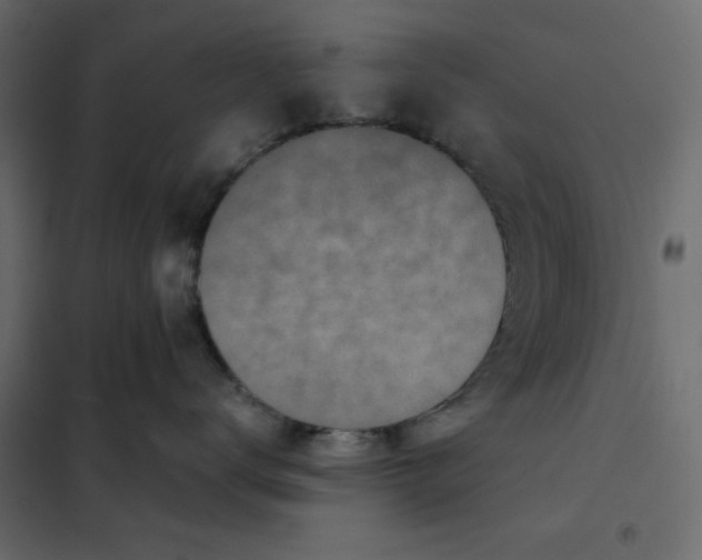 X0000101990672200808081637