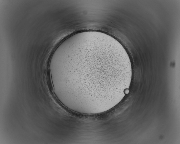 X0000101990673200808081636