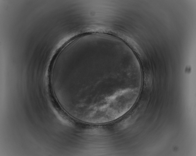 X0000101990674200808081636