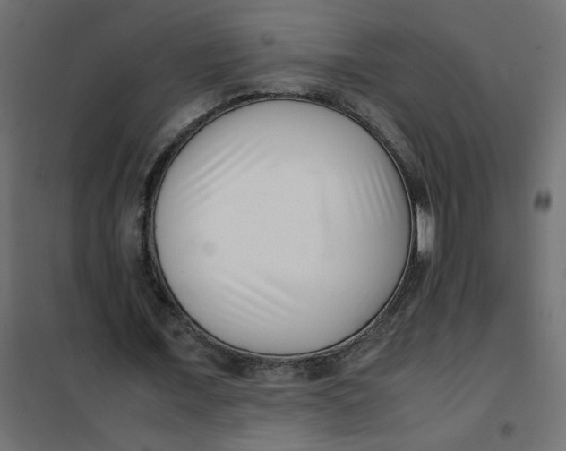 X0000101990675200808081636