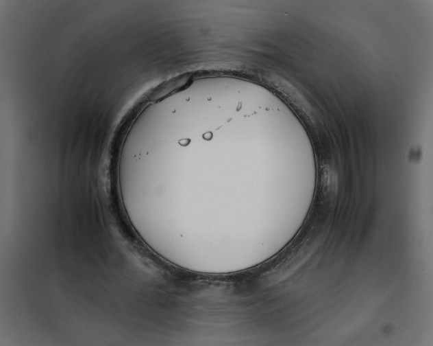 X0000101990676200808081636