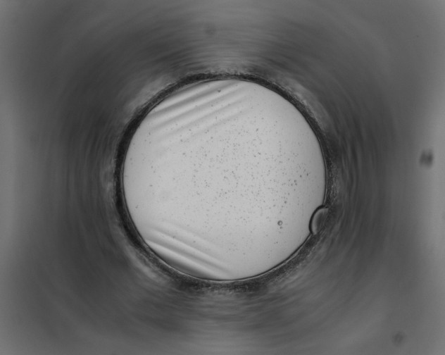 X0000101990677200808081636