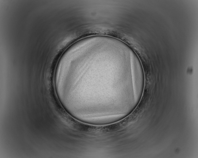 X0000101990679200808081636