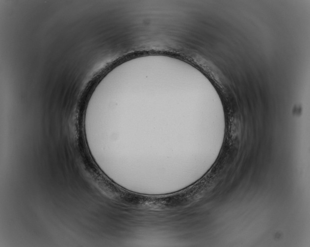 X0000101990680200808081636