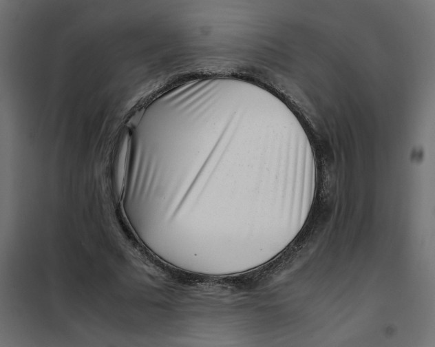 X0000101990681200808081636