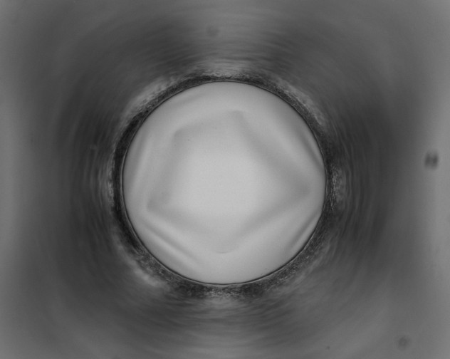 X0000101990682200808081636