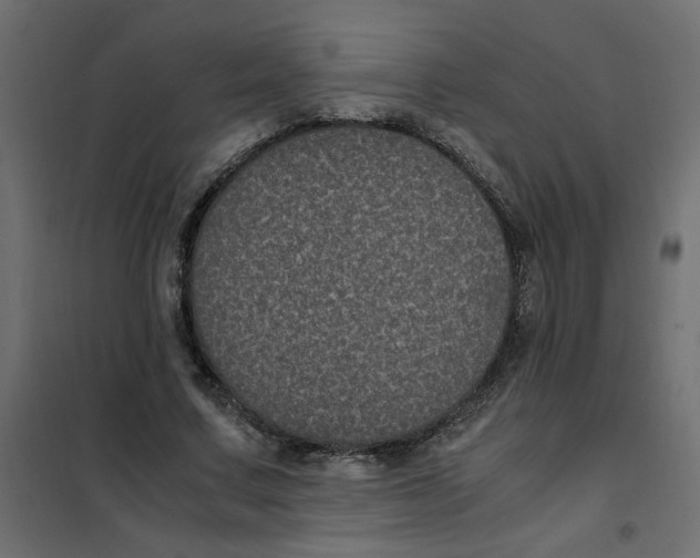 X0000101990683200808081636