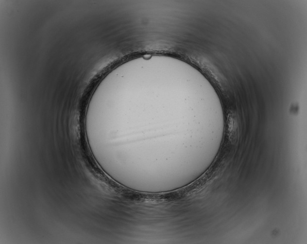 X0000101990684200808081636