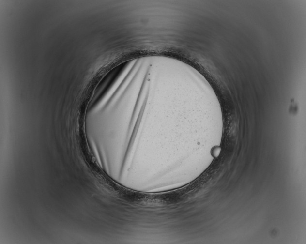 X0000101990685200808081636