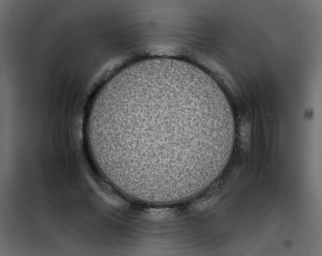 X0000101990686200808081636