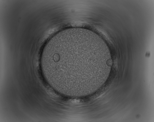 X0000101990687200808081636