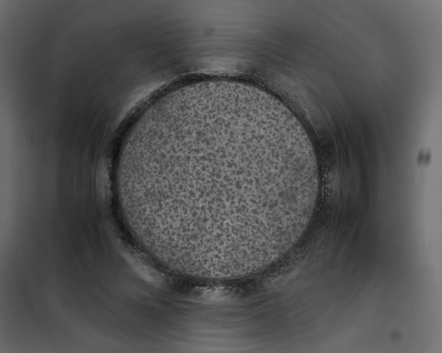 X0000101990688200808081636