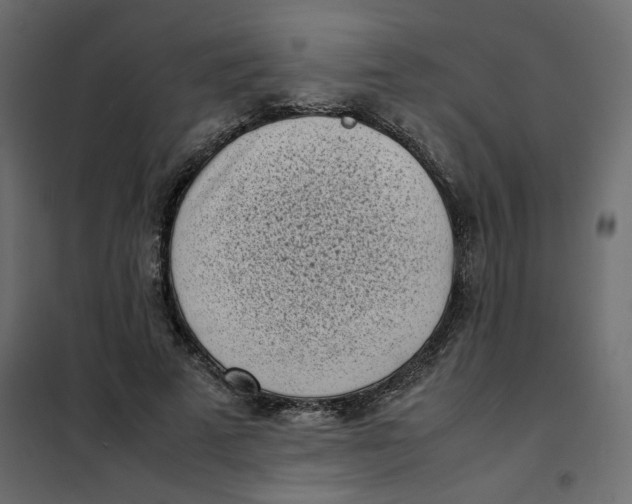 X0000101990689200808081636