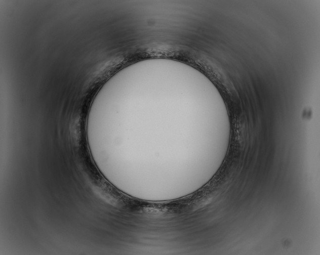 X0000101990690200808081636