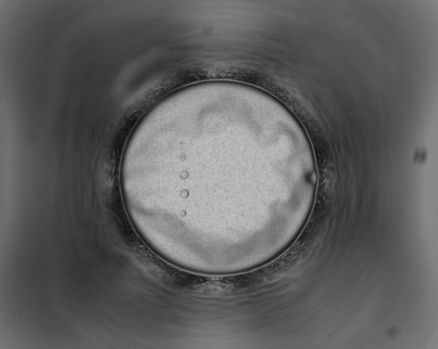 X0000101990691200808081636