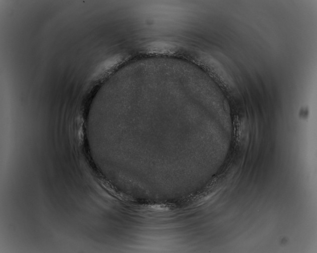 X0000101990692200808081636