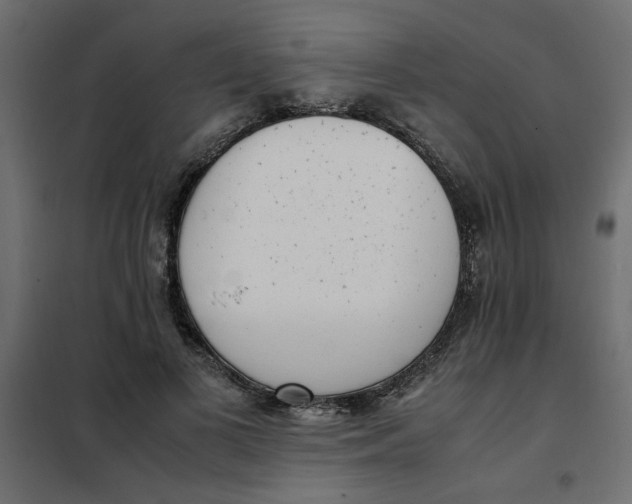 X0000101990693200808081636