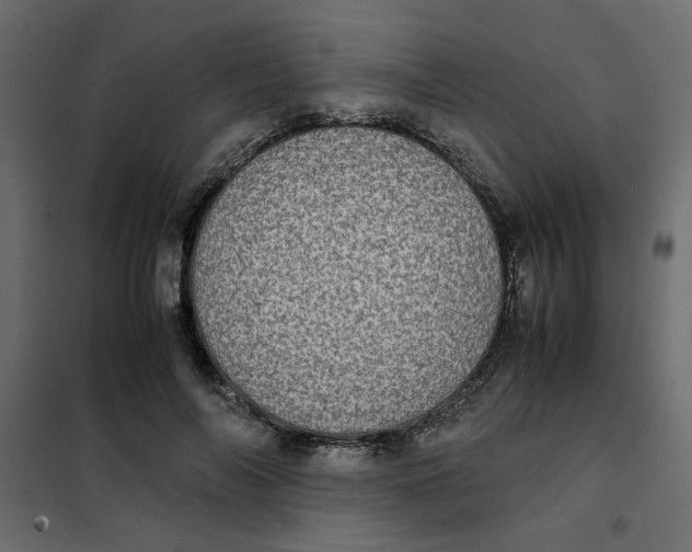 X0000101990694200808081636