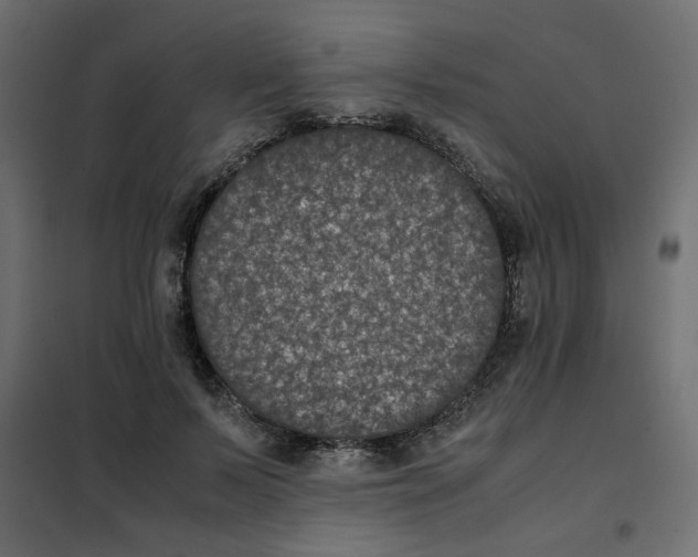 X0000101990695200808081636