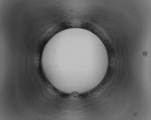 X0000101990697200808081636