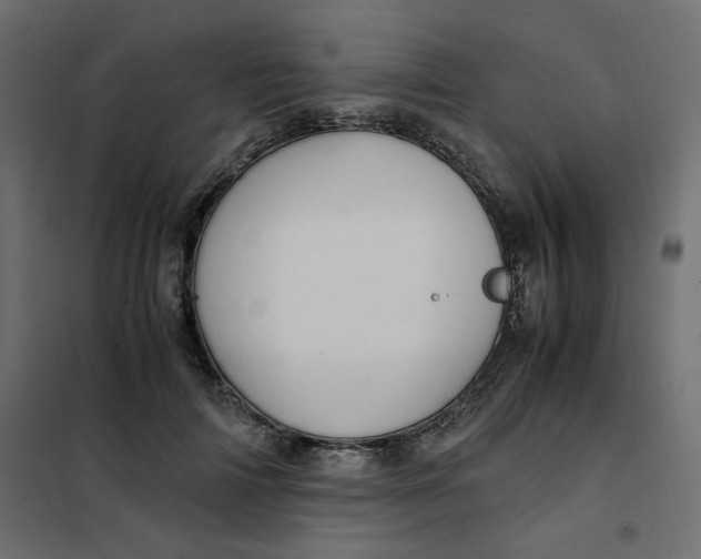 X0000101990698200808081636