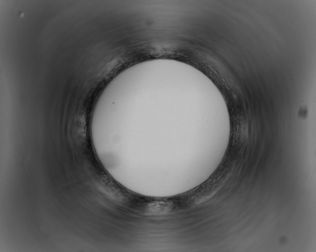 X0000101990700200808081636