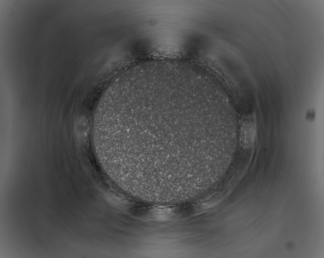 X0000101990701200808081636