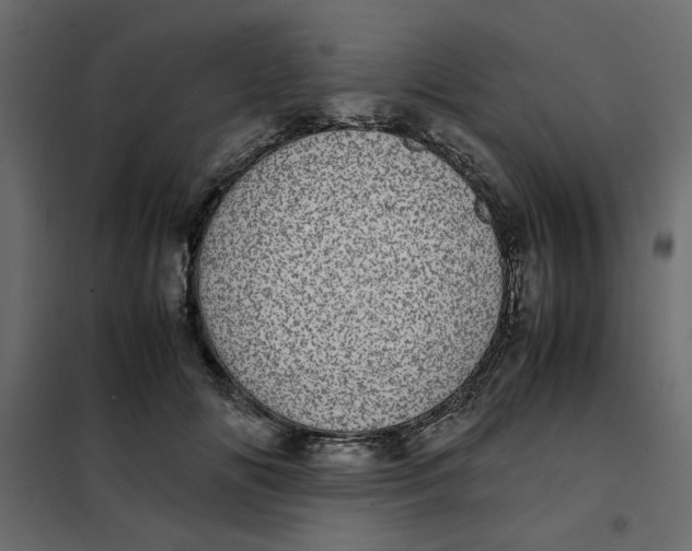 X0000101990702200808081636