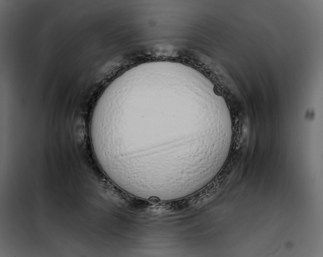 X0000101990704200808081636