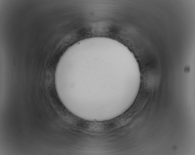 X0000101990705200808081636