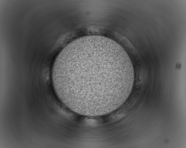 X0000101990706200808081636