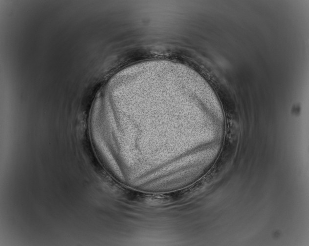 X0000101990707200808081636