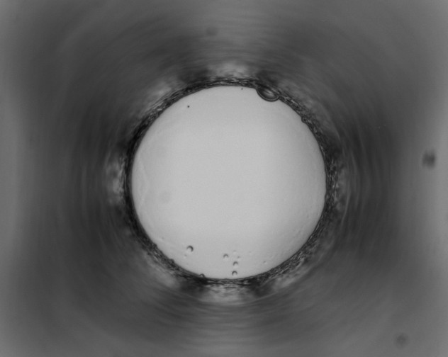 X0000101990708200808081636