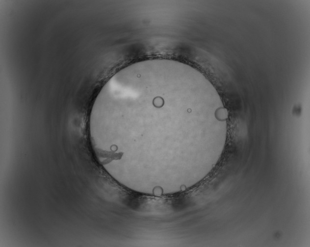 X0000101990709200808081636