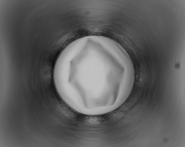 X0000101990710200808081636