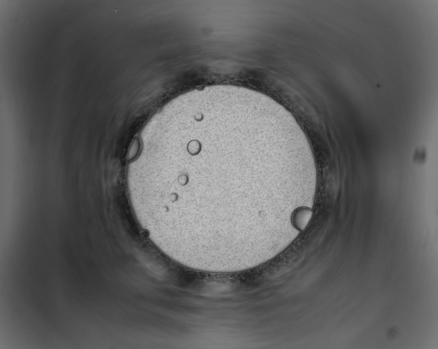 X0000101990711200808081636