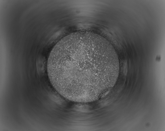 X0000101990712200808081636