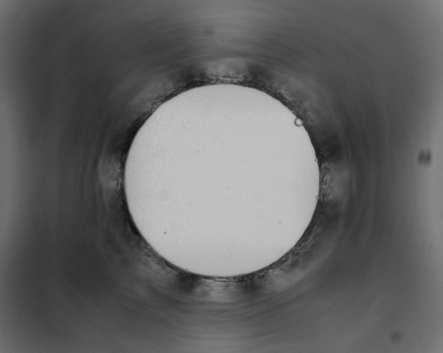 X0000101990713200808081636