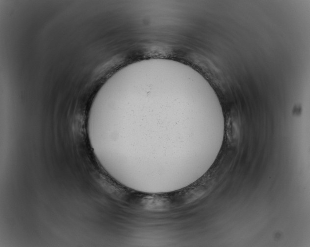 X0000101990714200808081635