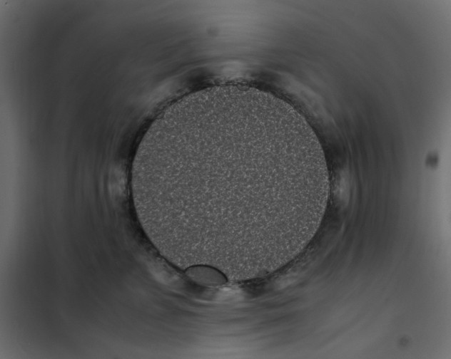 X0000101990715200808081635