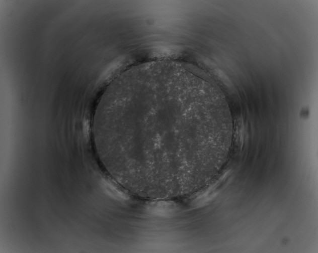 X0000101990716200808081635