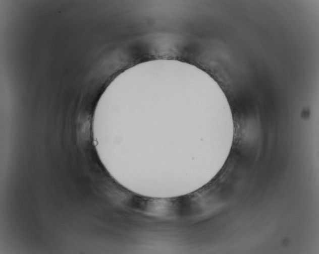 X0000101990717200808081635