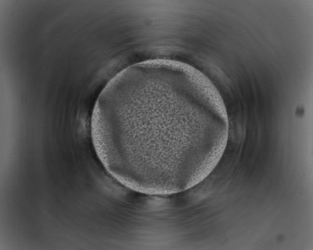 X0000101990718200808081635