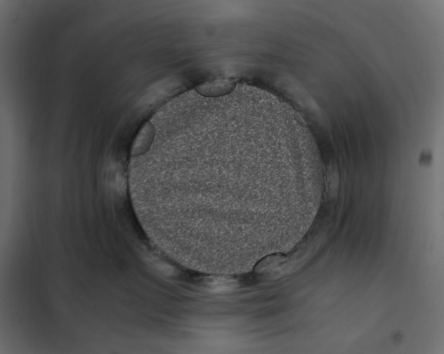 X0000101990719200808081635