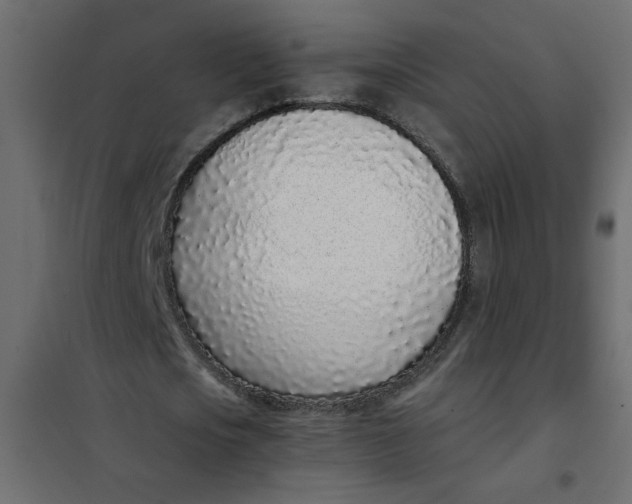 X0000101990721200808081634