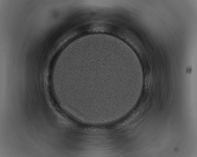 X0000101990722200808081635